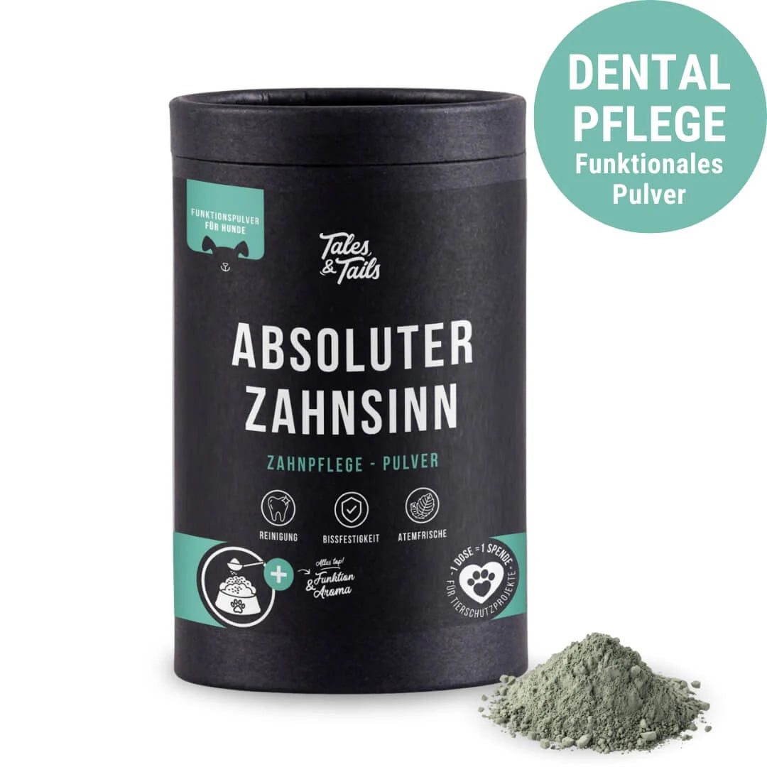 Absoluter ZahnSinn