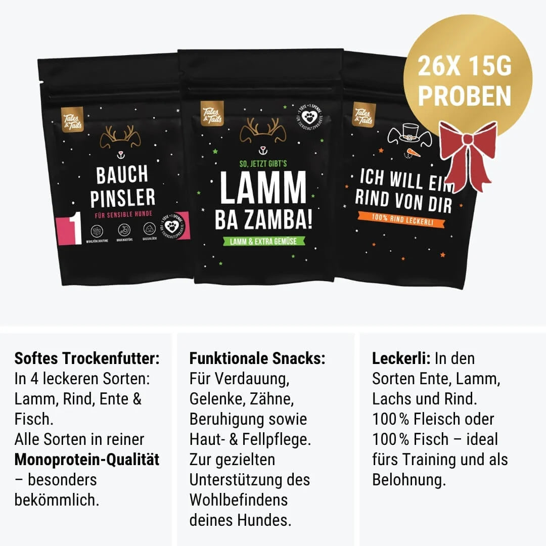 Adventskalender - Wauhnachts-Wunder