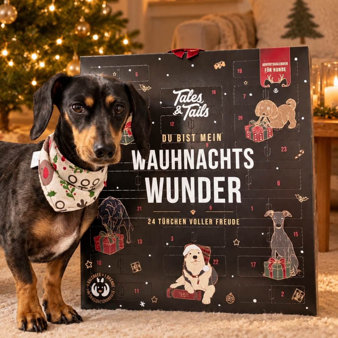Adventskalender - Wauhnachts-Wunder