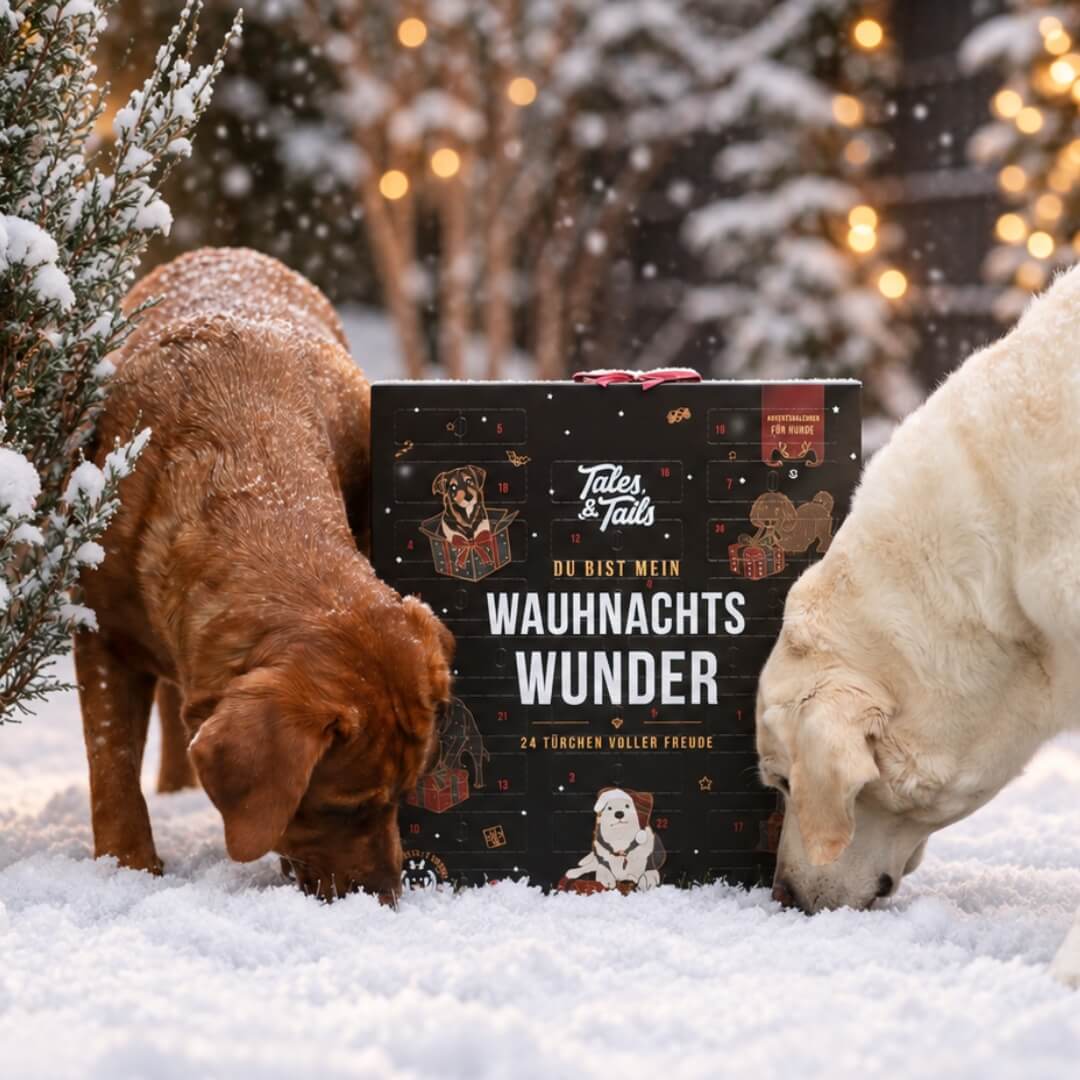 Adventskalender - Wauhnachts-Wunder