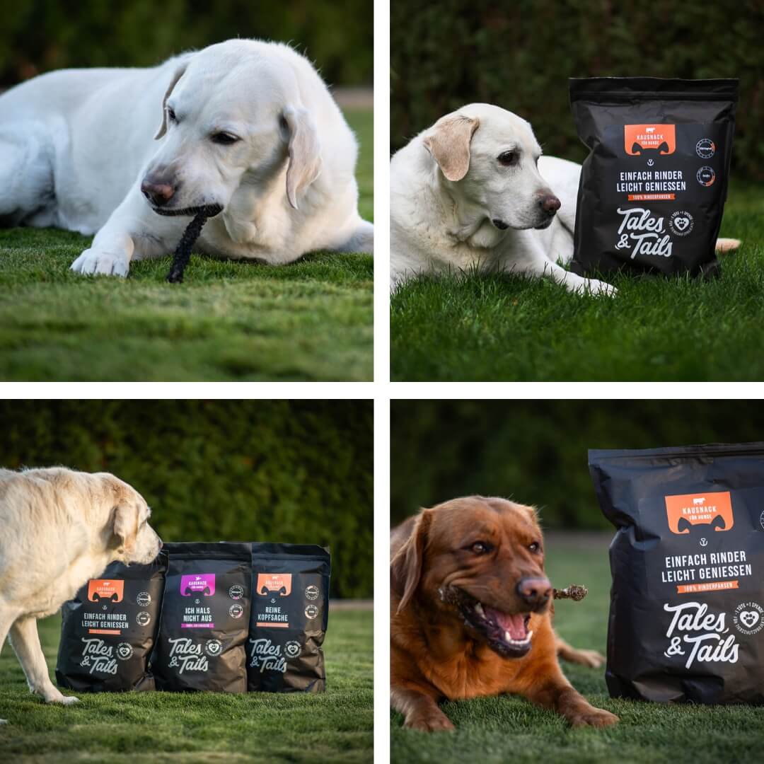 Einfach RinderLeicht geniessen