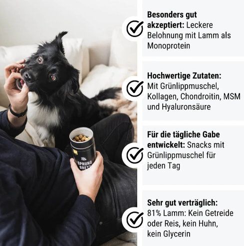 Sprungbrett