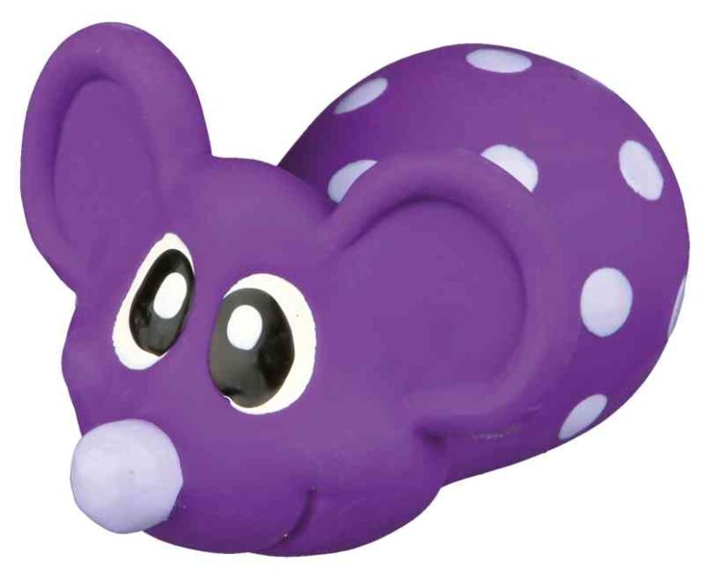 Maus