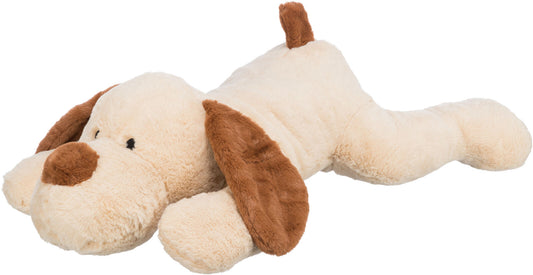 Ankuschelhund Benny