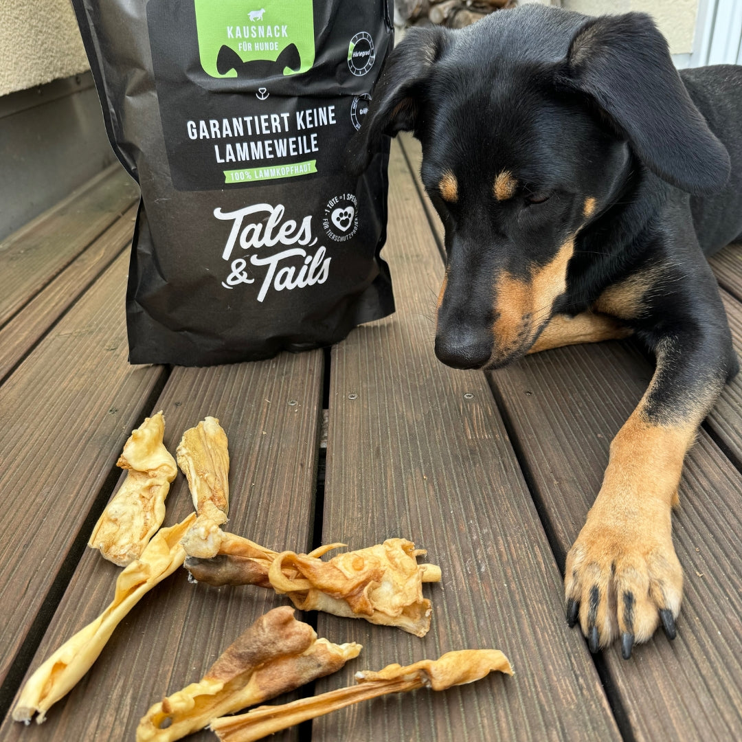 Garantiert keine Lammeweile