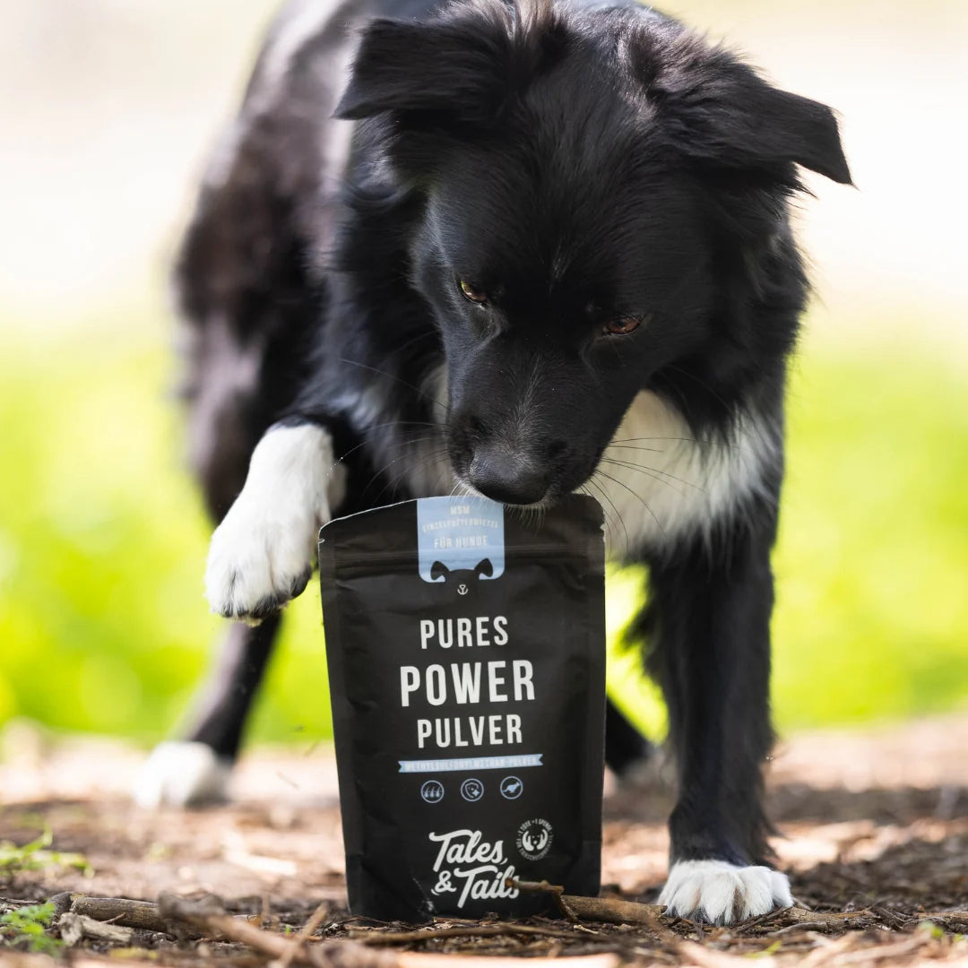 Pures Power Pulver