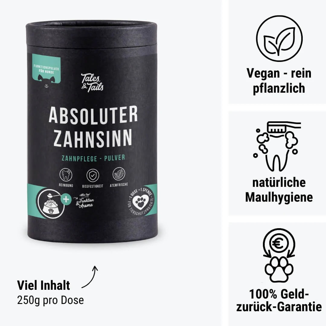 Absoluter ZahnSinn