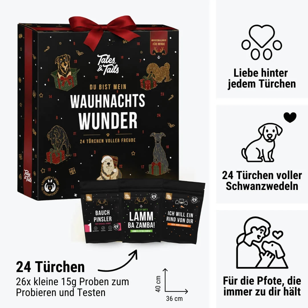 Adventskalender - Wauhnachts-Wunder