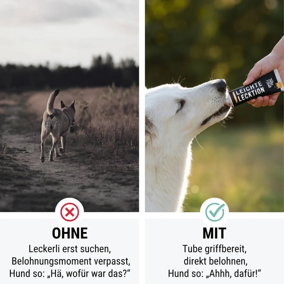 Leichte LeckTion - Futtertube für Hunde mit Pferd