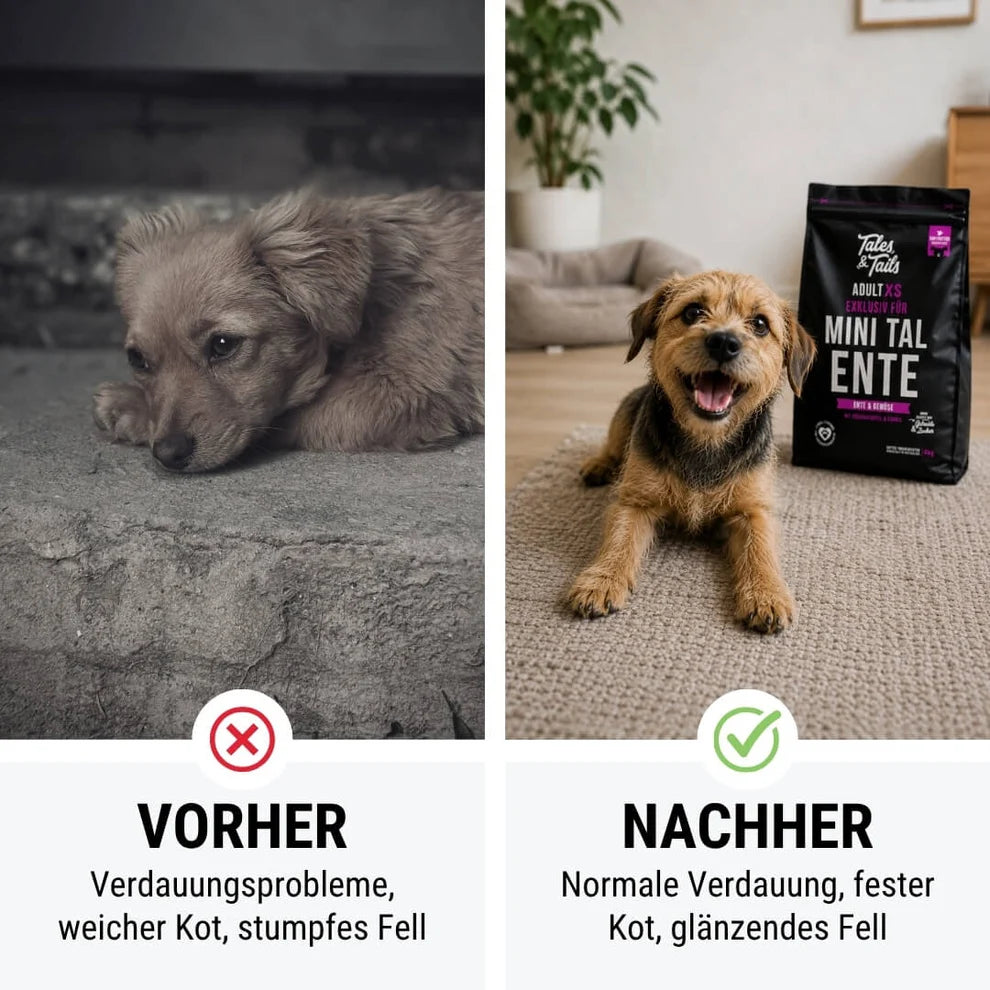 Exklusiv für Mini TalEnte - kleine Kroketten