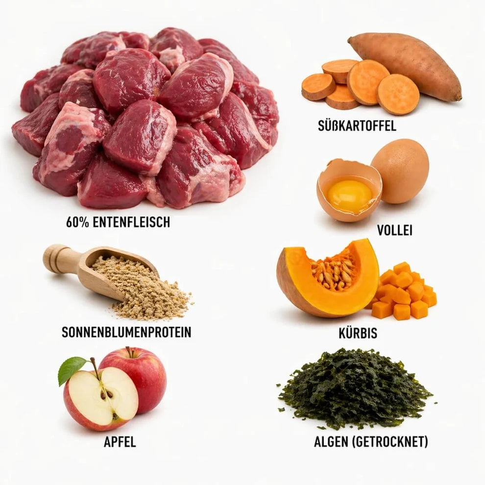 Für kleine EnteDecker - Welpenfutter mit Ente