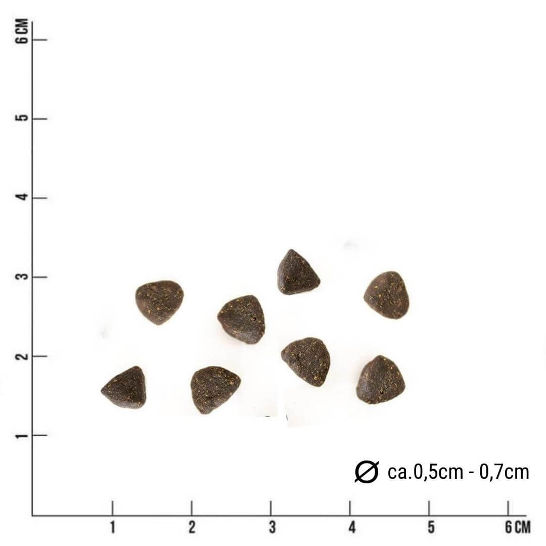 LammSam hab ich Hunger