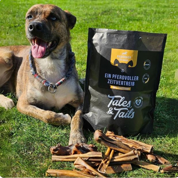 Ein PferdVoller Zeitvertreib