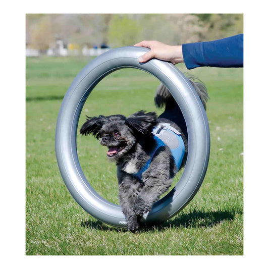 FitPAWS® Donut Holder