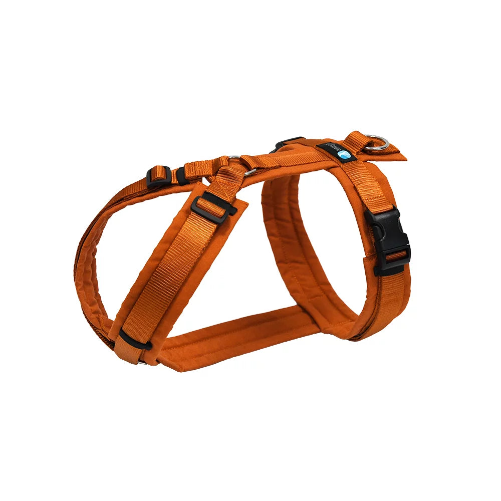 anny-x Brustgeschirr Fun Ahorn