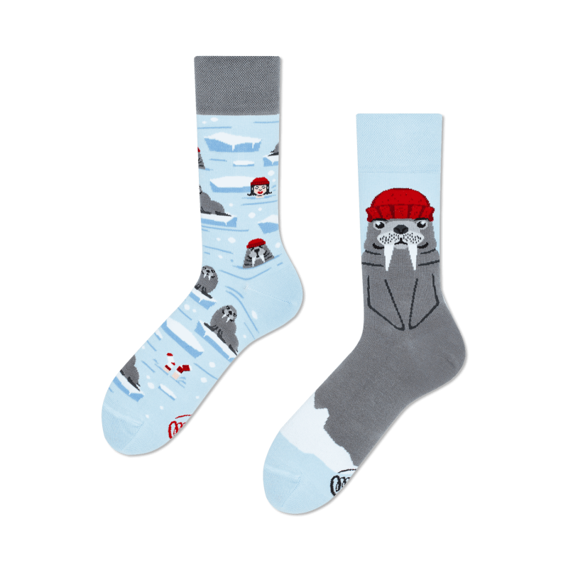 The Walrus Socken by Many Mornings