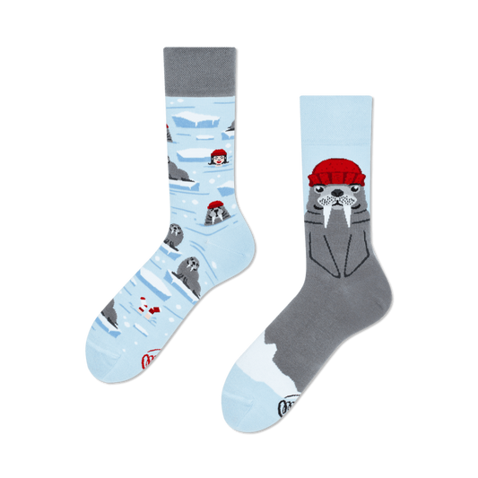 The Walrus Socken by Many Mornings