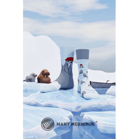 The Walrus Socken by Many Mornings