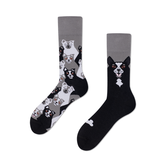 Black Dog Socken by Many Mornings