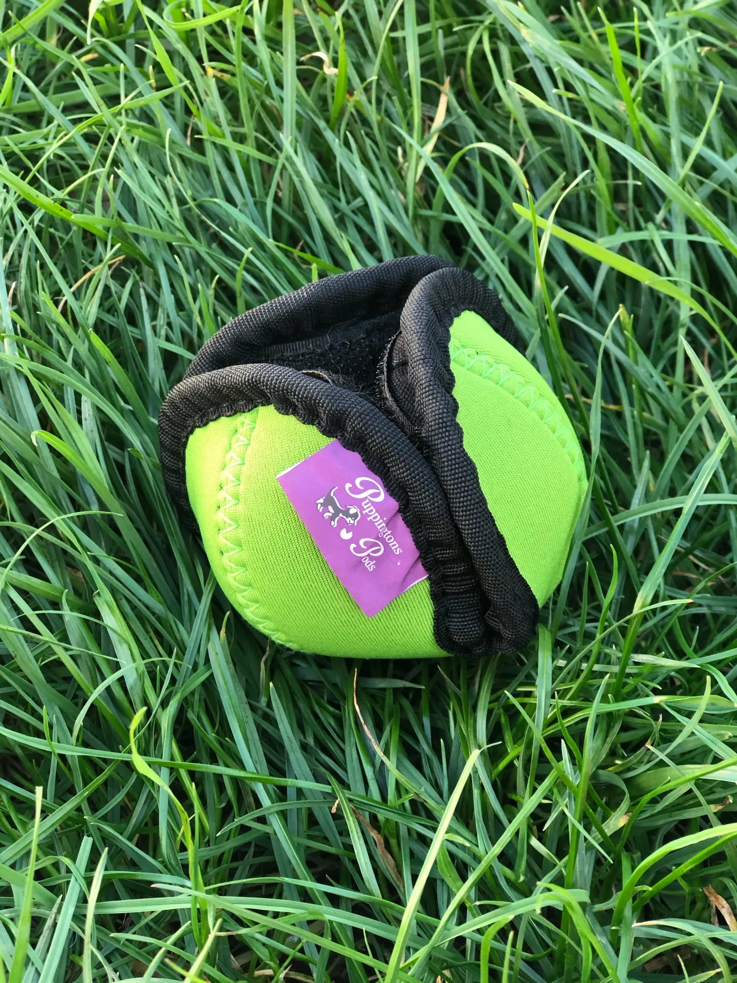 Puppingtons Lotusball "Pod" – Der interaktive Trainingsball