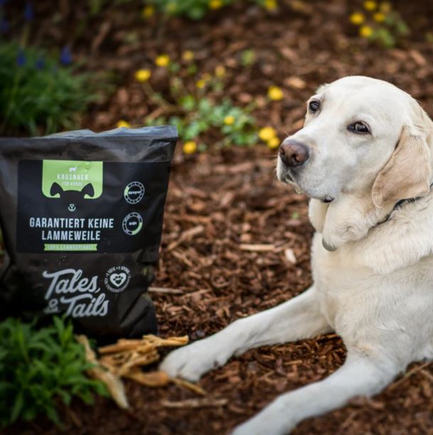 Garantiert keine Lammeweile