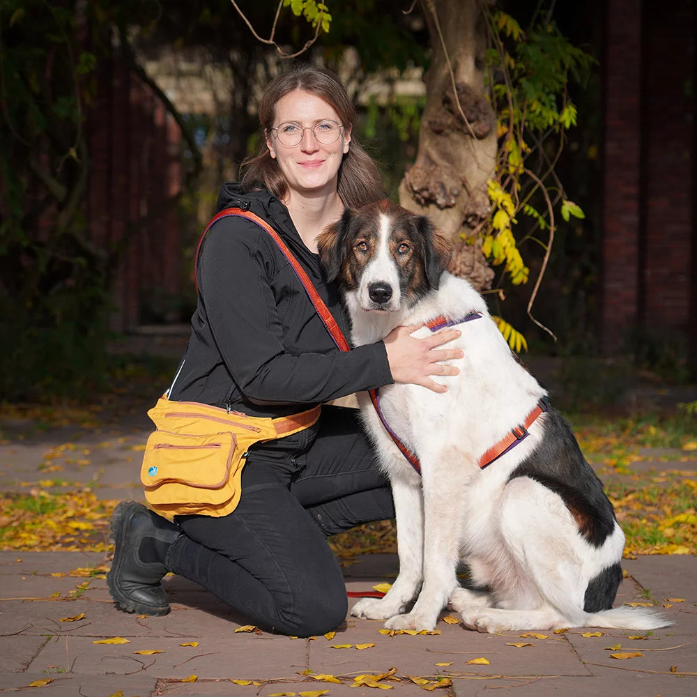 anny-x Brustgeschirr Fun Pflaume/ Zimt (Limited Edition)