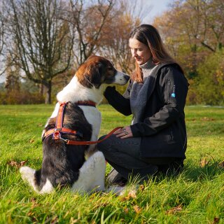 anny-x Brustgeschirr Fun Pflaume/ Zimt (Limited Edition)