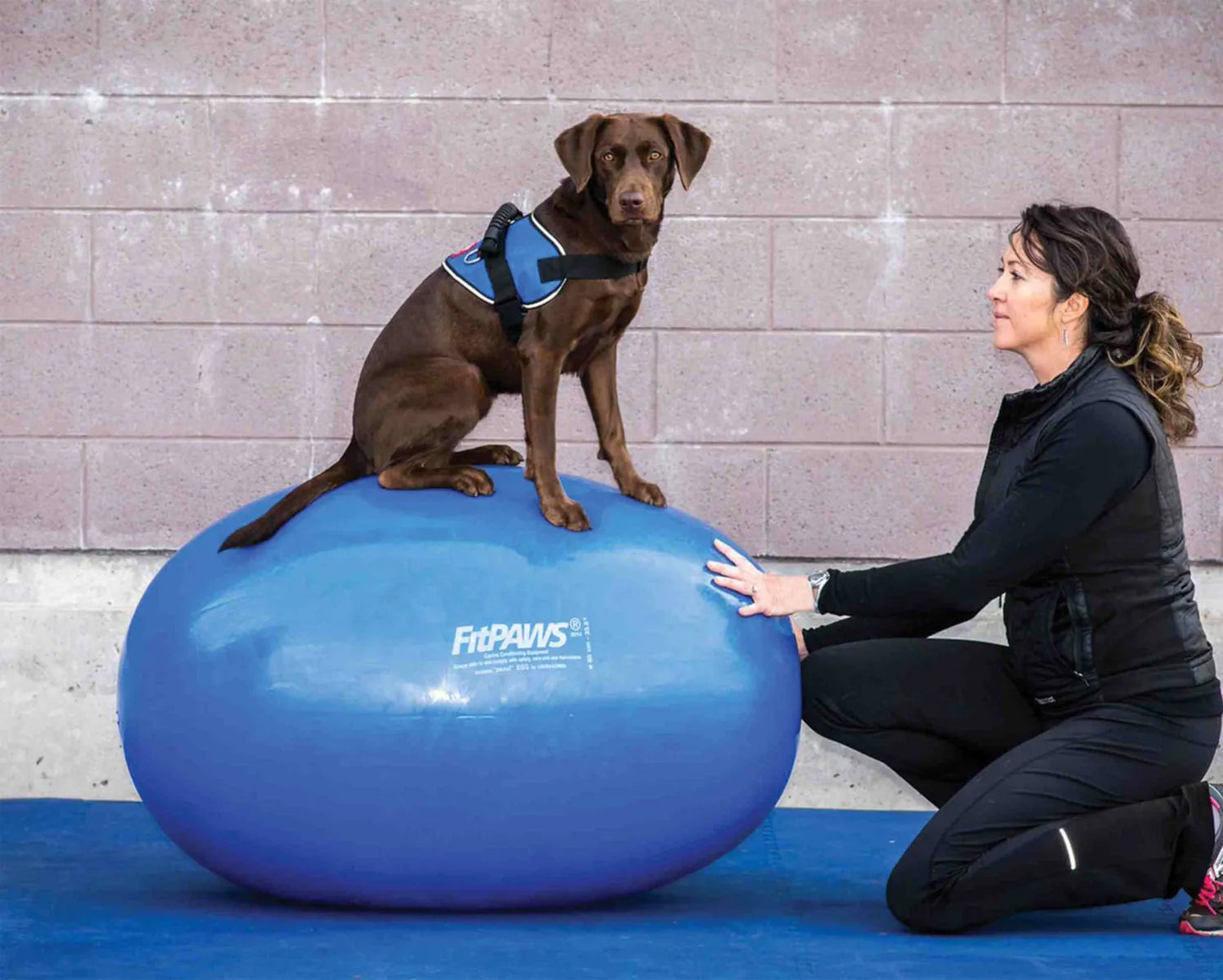 FitPAWS® Egg