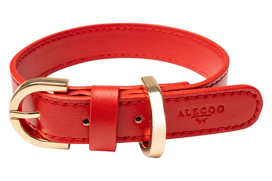 Hundehalsband Classy sunset rot - gold