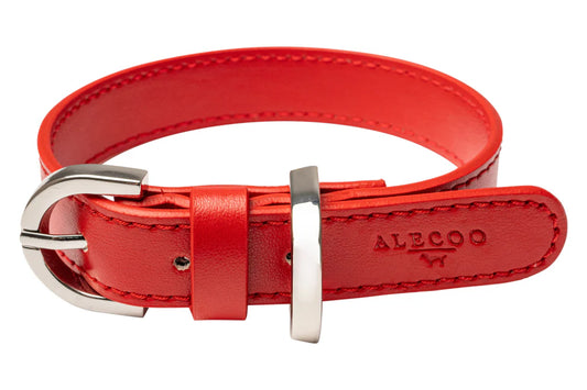 Hundehalsband Classy sunset rot - silver