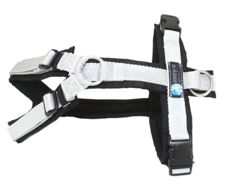 anny-x Brustgeschirr Fun schwarz/silber